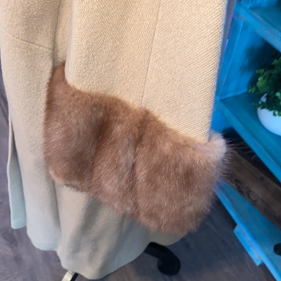 Rothmoore Beauty - Picture 9 of 16